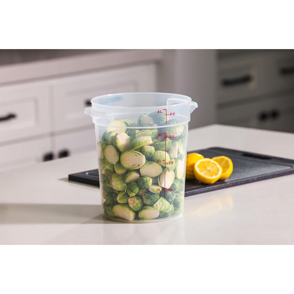 Wadah Penyimpanan Makanan Beba - Food Storage Quart Containers ulasan dan harga