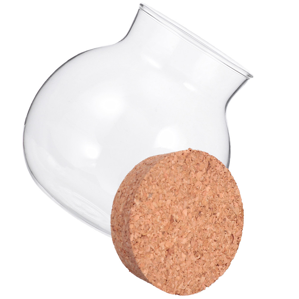 Stoples Kaca Berkualitas Tingg - Food Storage With Glass Lids ulasan dan harga