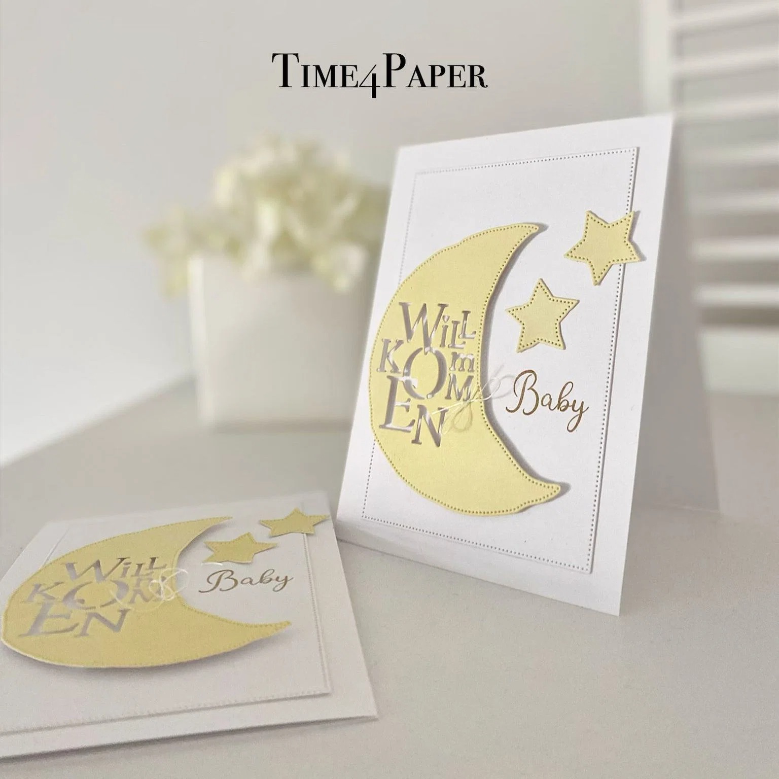 Stempel dan Cetakan Koper Bayi - Food Storage Baby ulasan dan harga